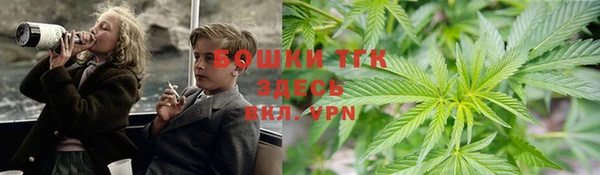 прущие грибы Абинск