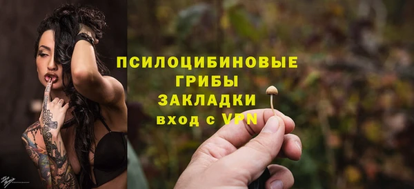 прущие грибы Абинск