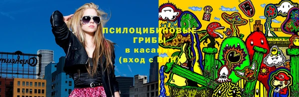 прущие грибы Абинск