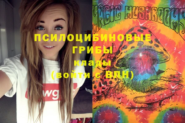амф Покачи