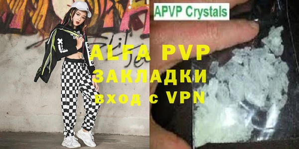 прущие грибы Абинск