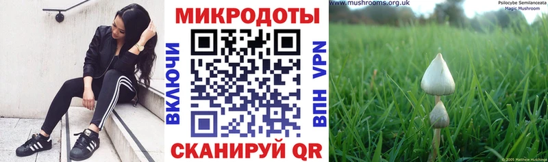 hydra зеркало Костерёво Псилоцибиновые грибы Psilocybine cubensis цена наркотик